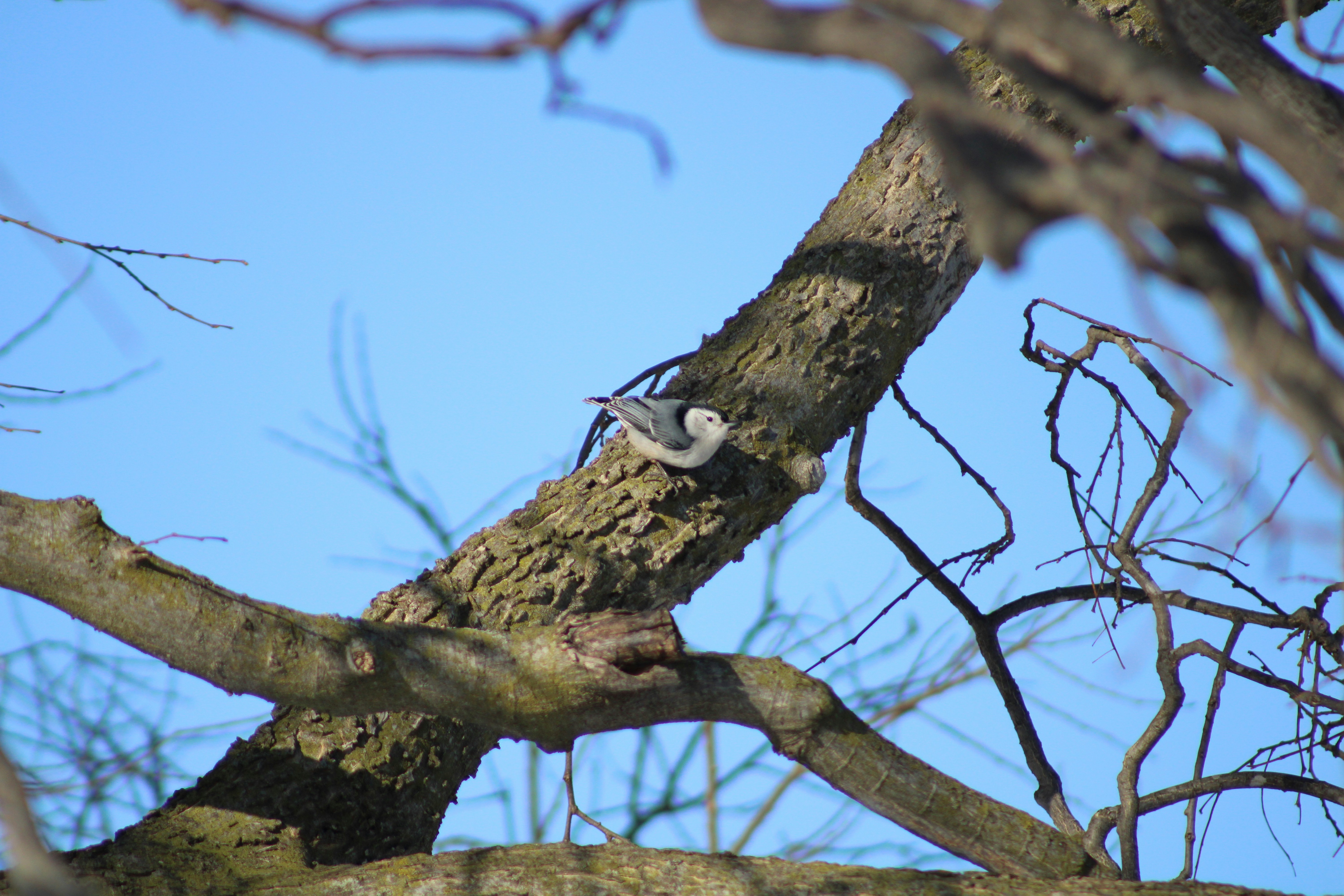 Photo by corinn_suess10