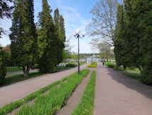 A serene park setting featuring two paved pathways separated by a manicured grass plot. Tall, lush green trees border the paths, and a few lampposts line the walkway. People can be seen walking towards a distant lake, creating a tranquil and inviting atmosphere.