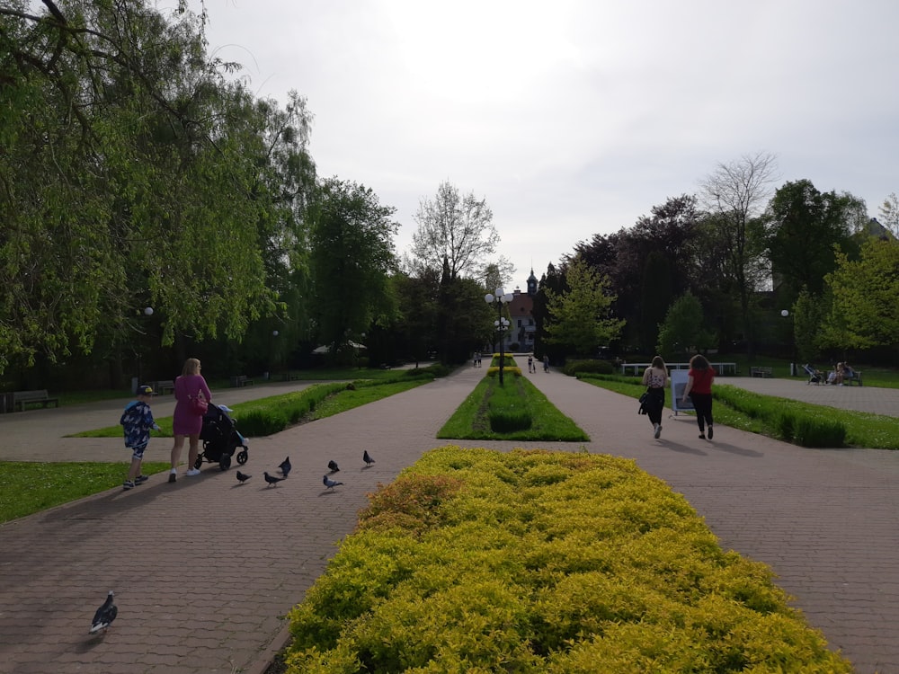 a group of people walking around a park