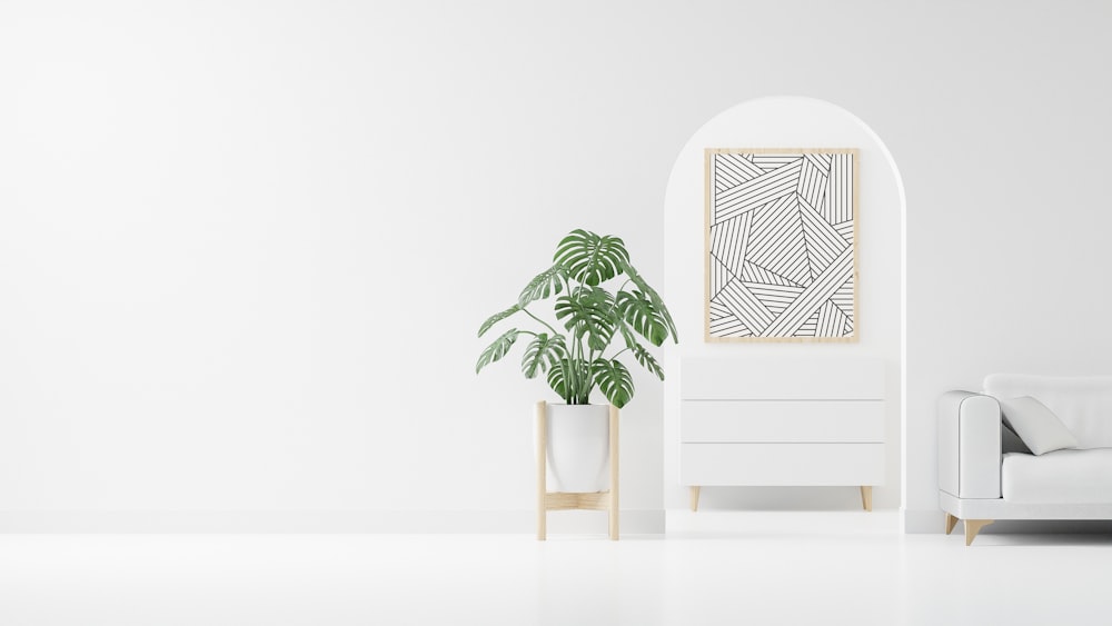 a white room with a white couch and a plant