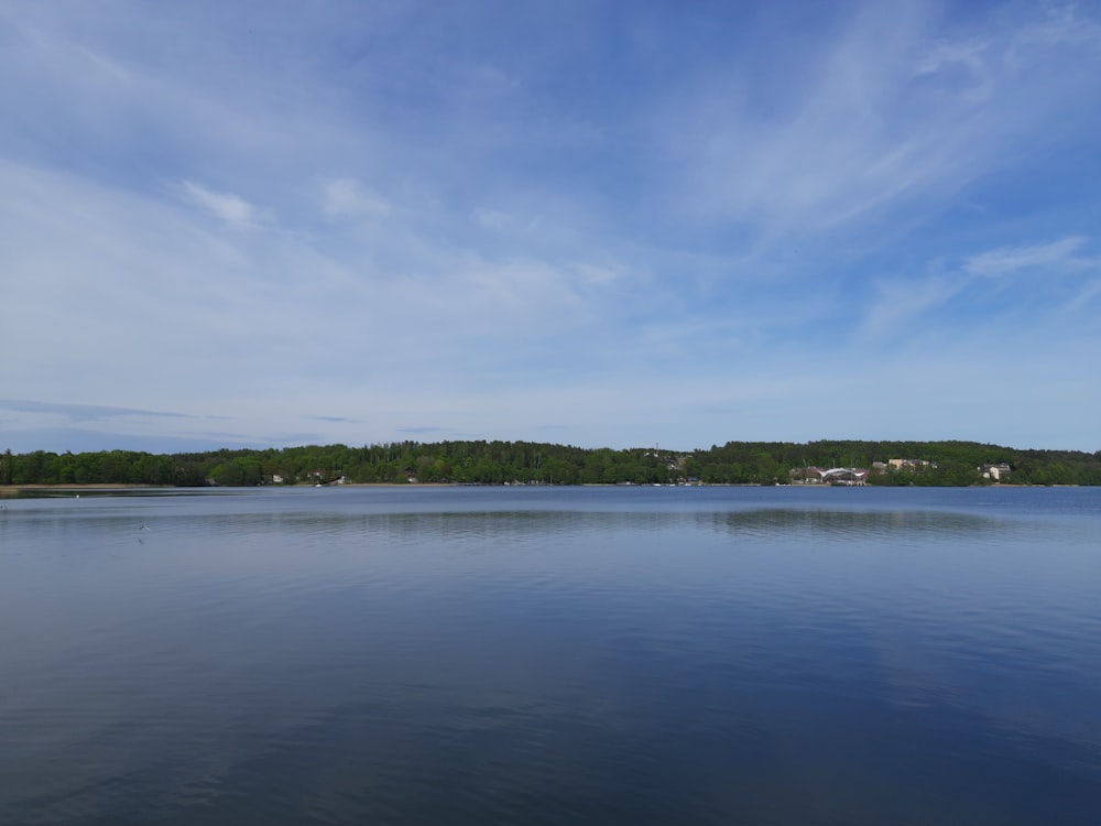 a large body of water surrounded by a forest