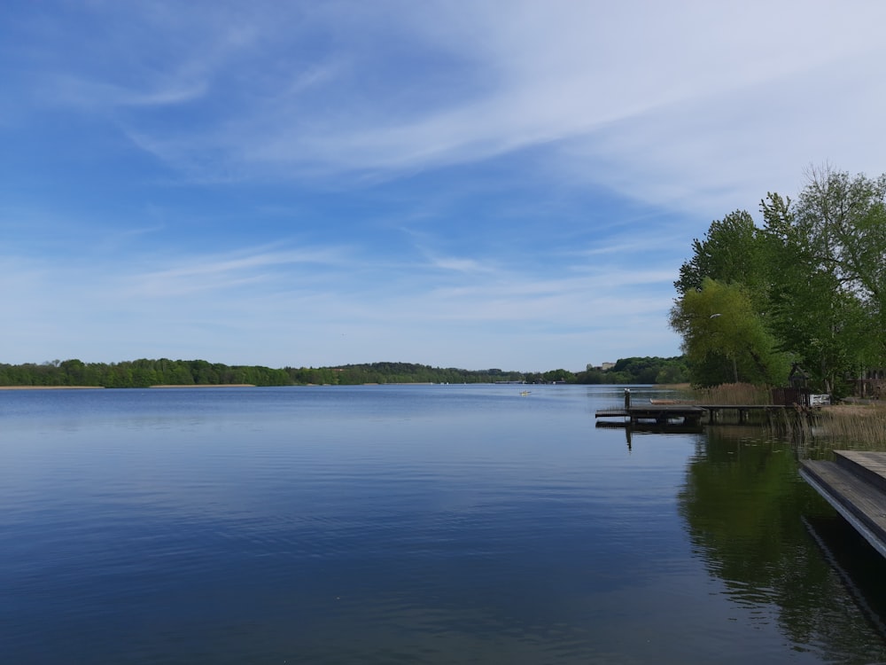 a body of water surrounded by trees and a dock