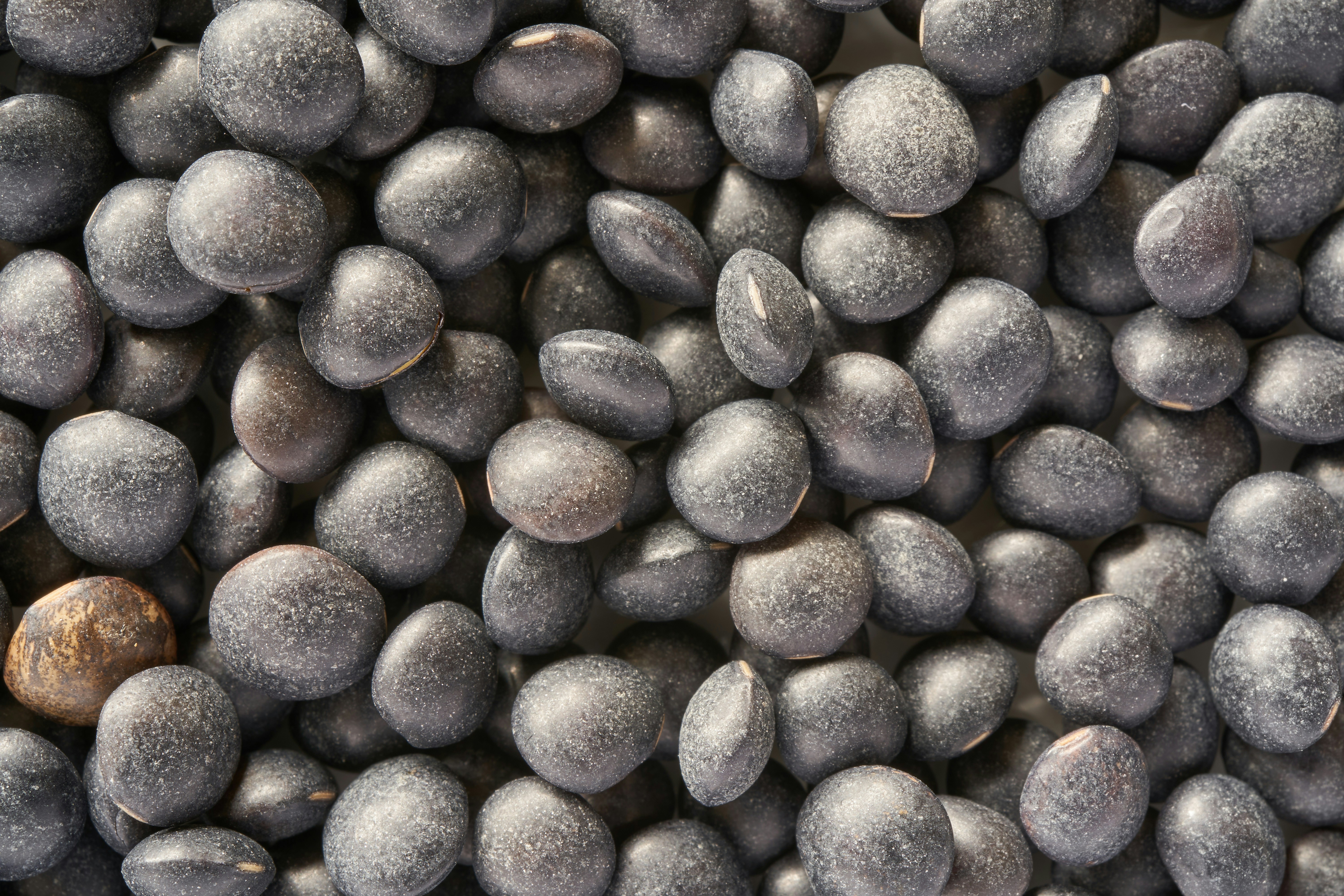 Sementes Cajaflon Premium