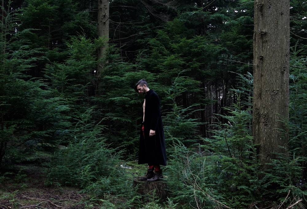 a man standing on a tree stump in a forest