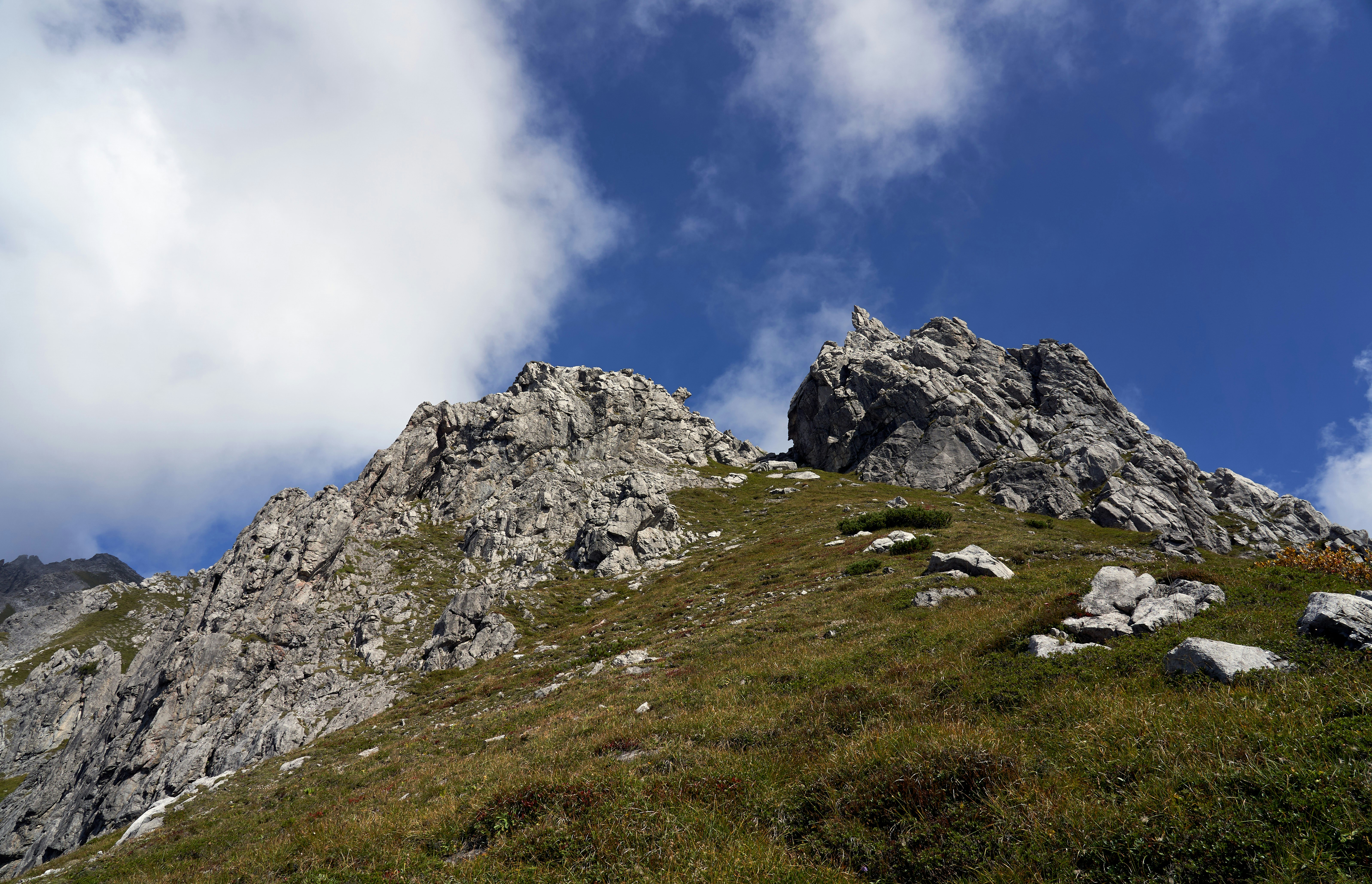 Photo by wolfgang_hasselmann