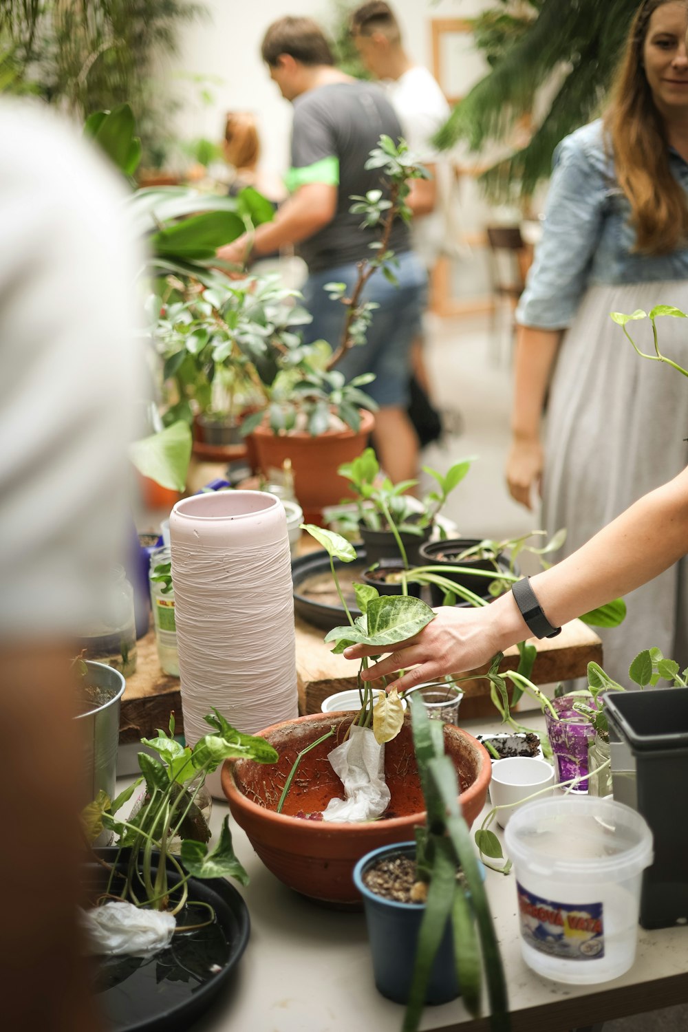 a group of people standing around a table filled with potted plants