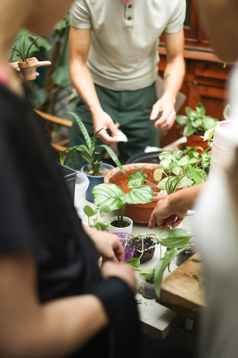 a group of people standing around a table with plants