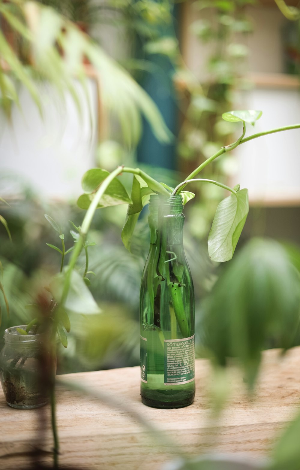 a green bottle filled with water sitting on top of a wooden table