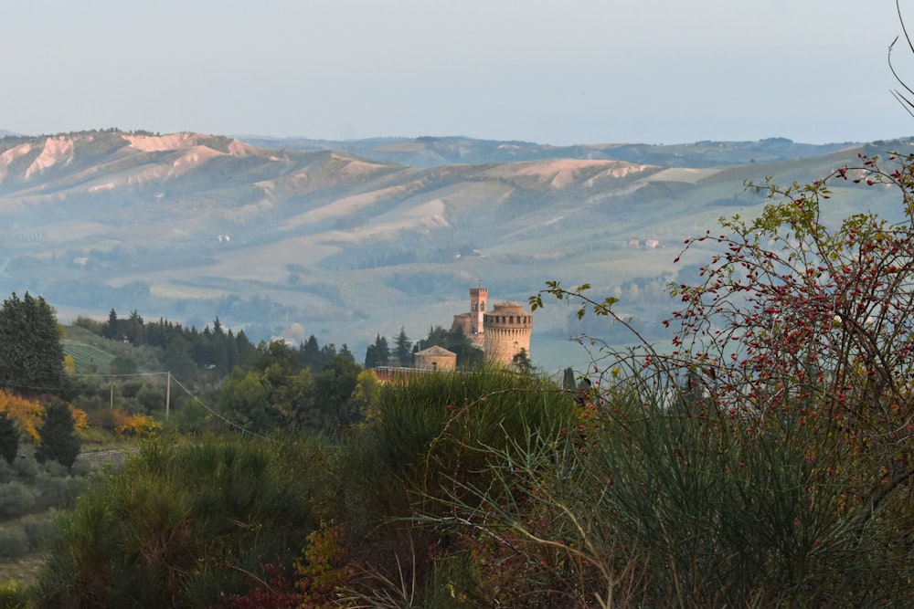 a castle in the middle of a mountain range