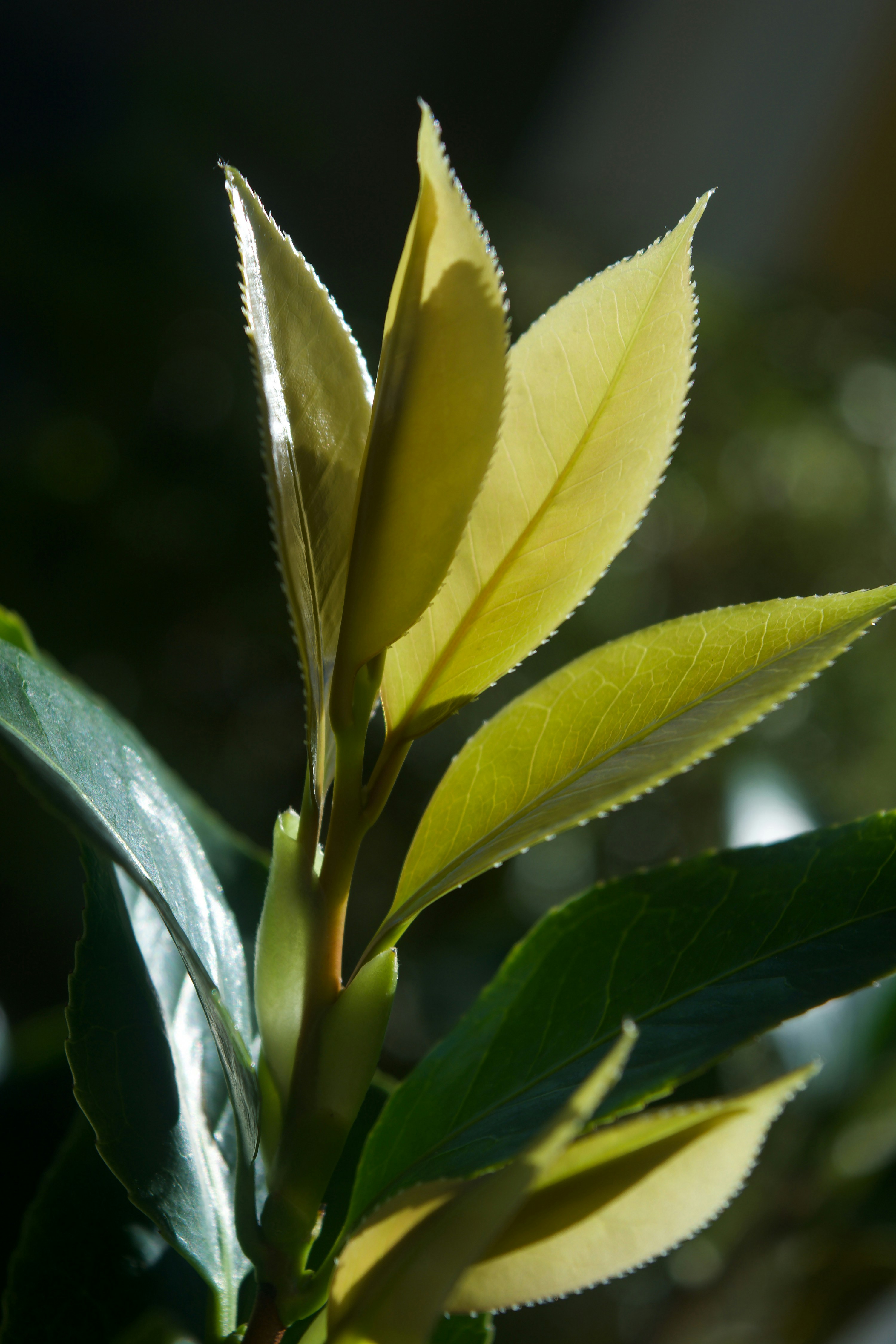 Photo by bymiyashiro