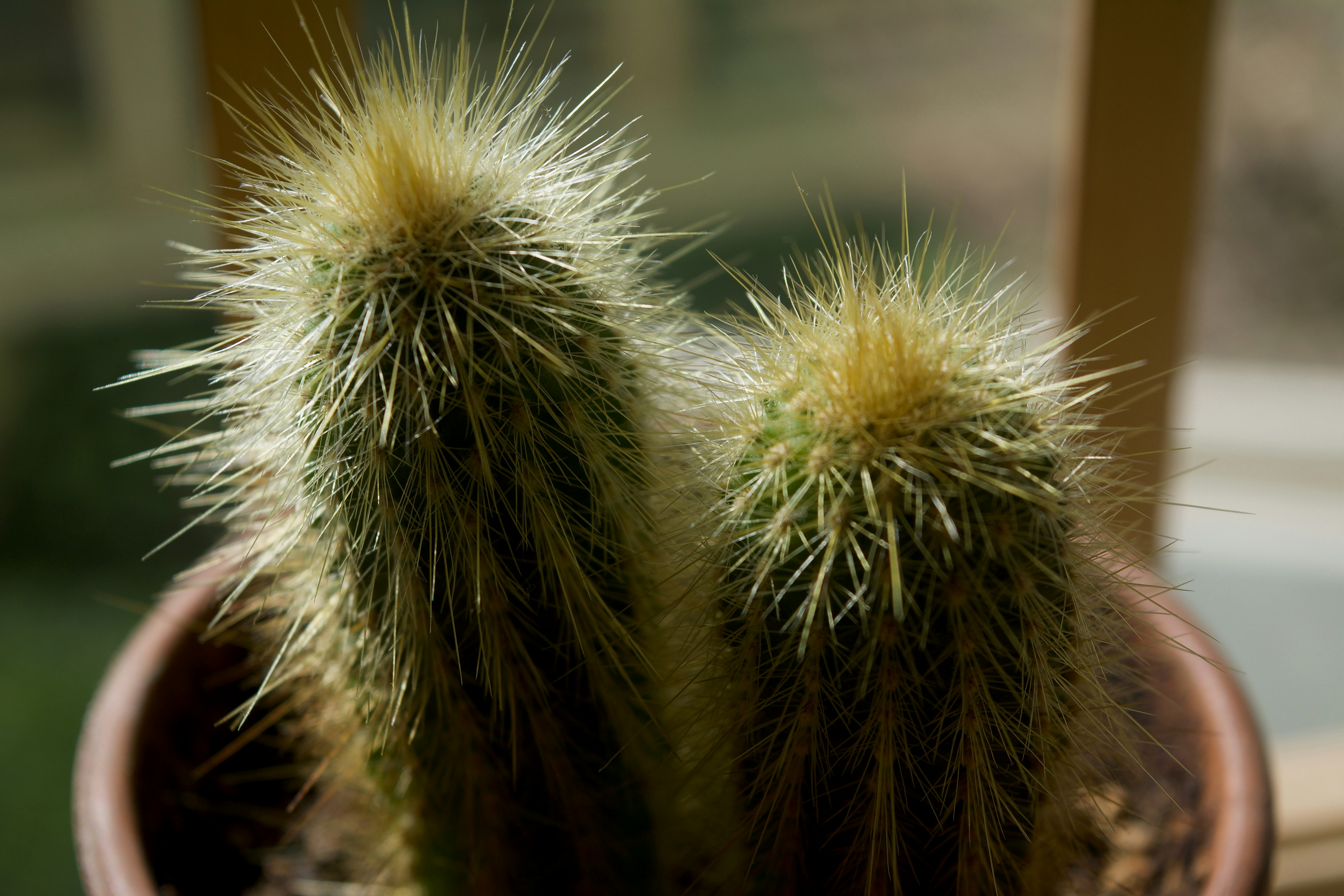 Photo by bymiyashiro