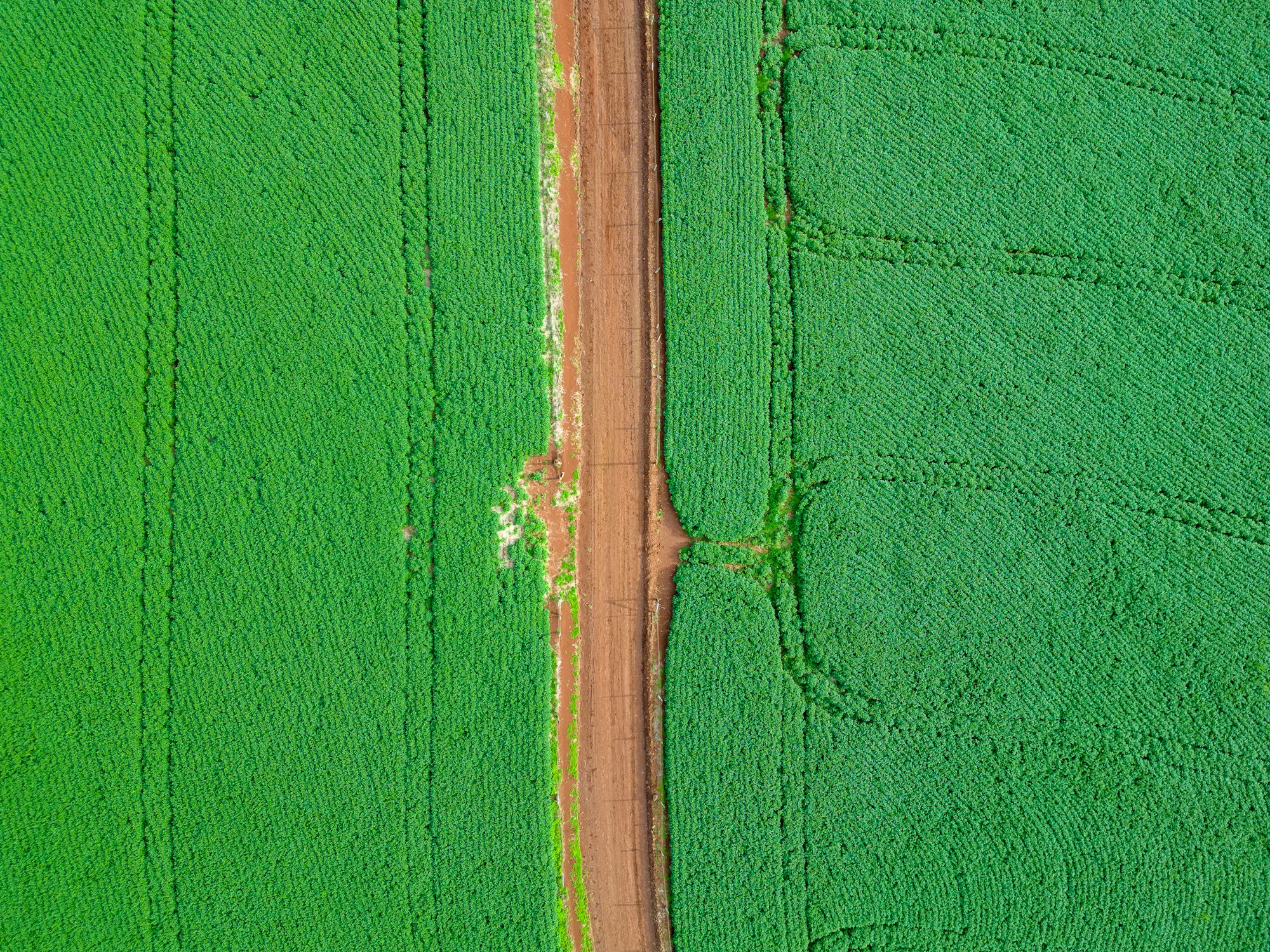an aerial view of a dirt road in a green field
