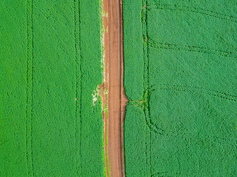 an aerial view of a dirt road in a green field