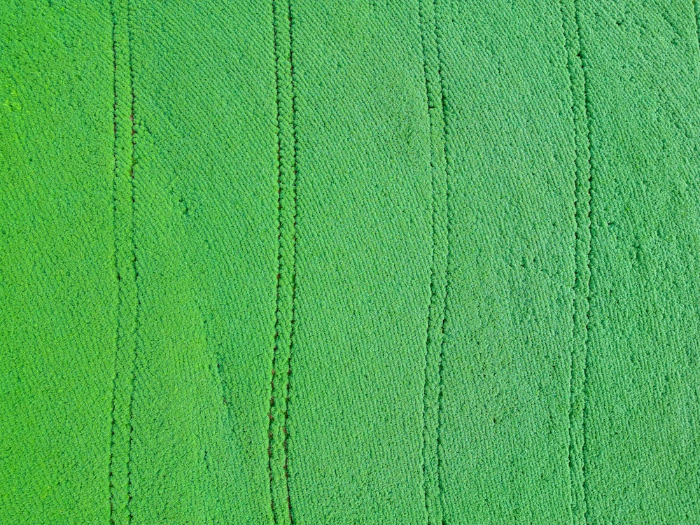 una veduta aerea di un campo di erba verde