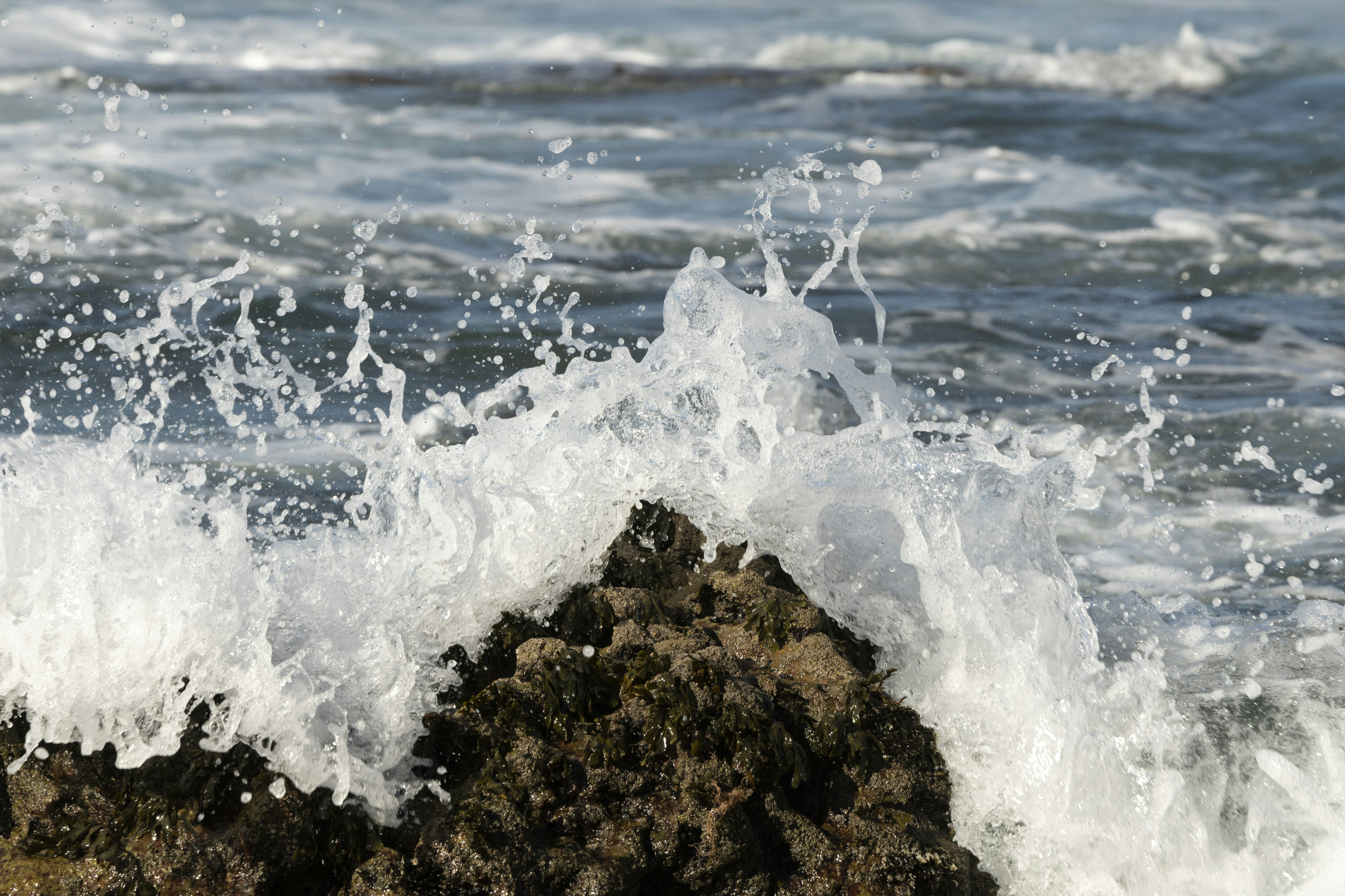 Photo by samueljeronimo