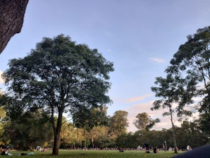 A gentle outdoor scene showing a small group enjoying a calm community park with soft blue and teal tones.