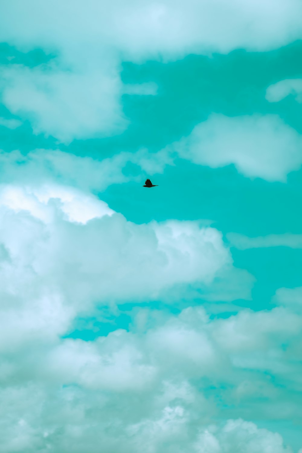 a bird flying through a cloudy blue sky