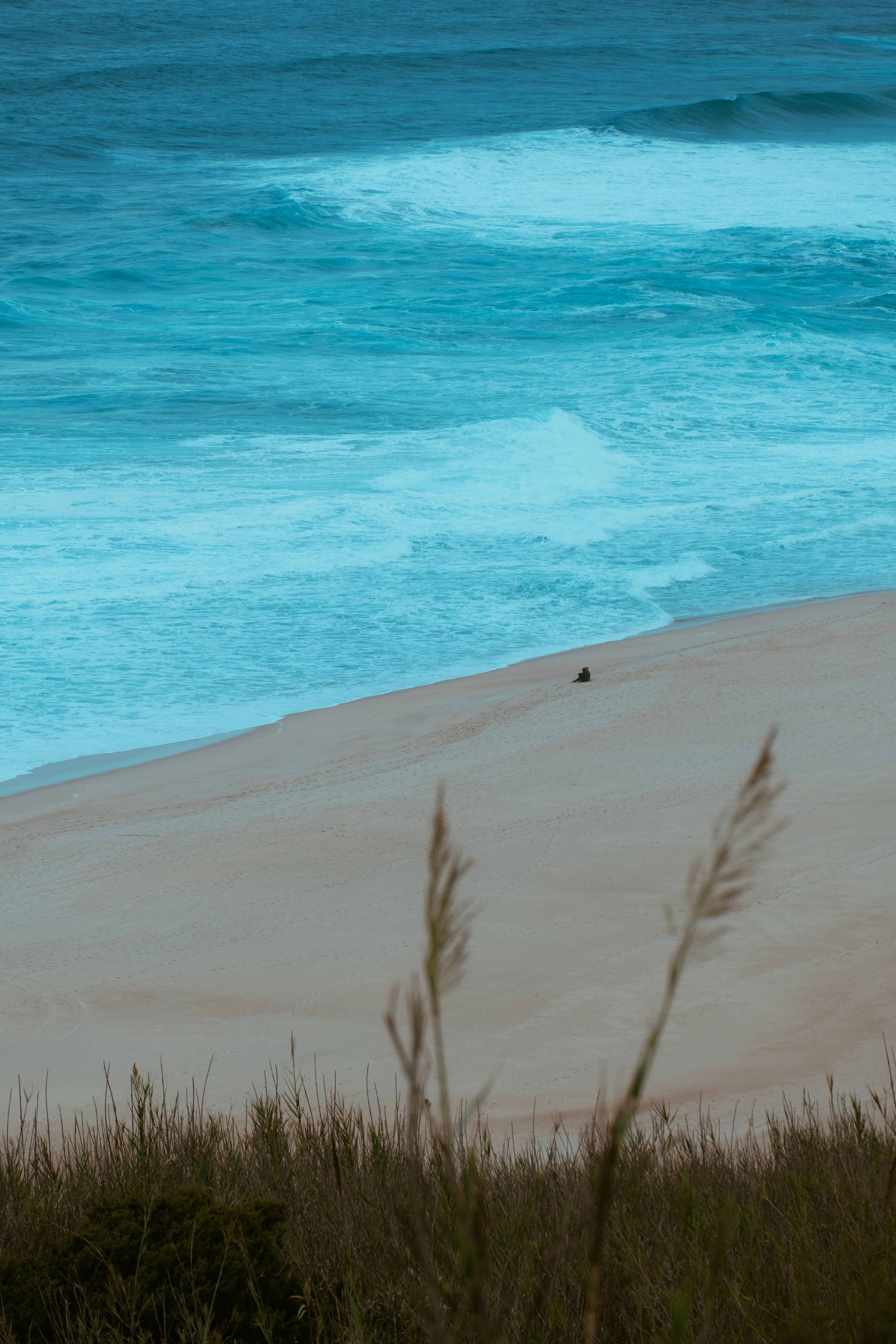 a person walking on a beach next to the ocean