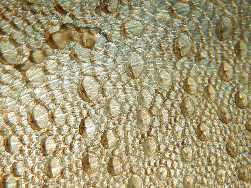 a close up view of water and sand