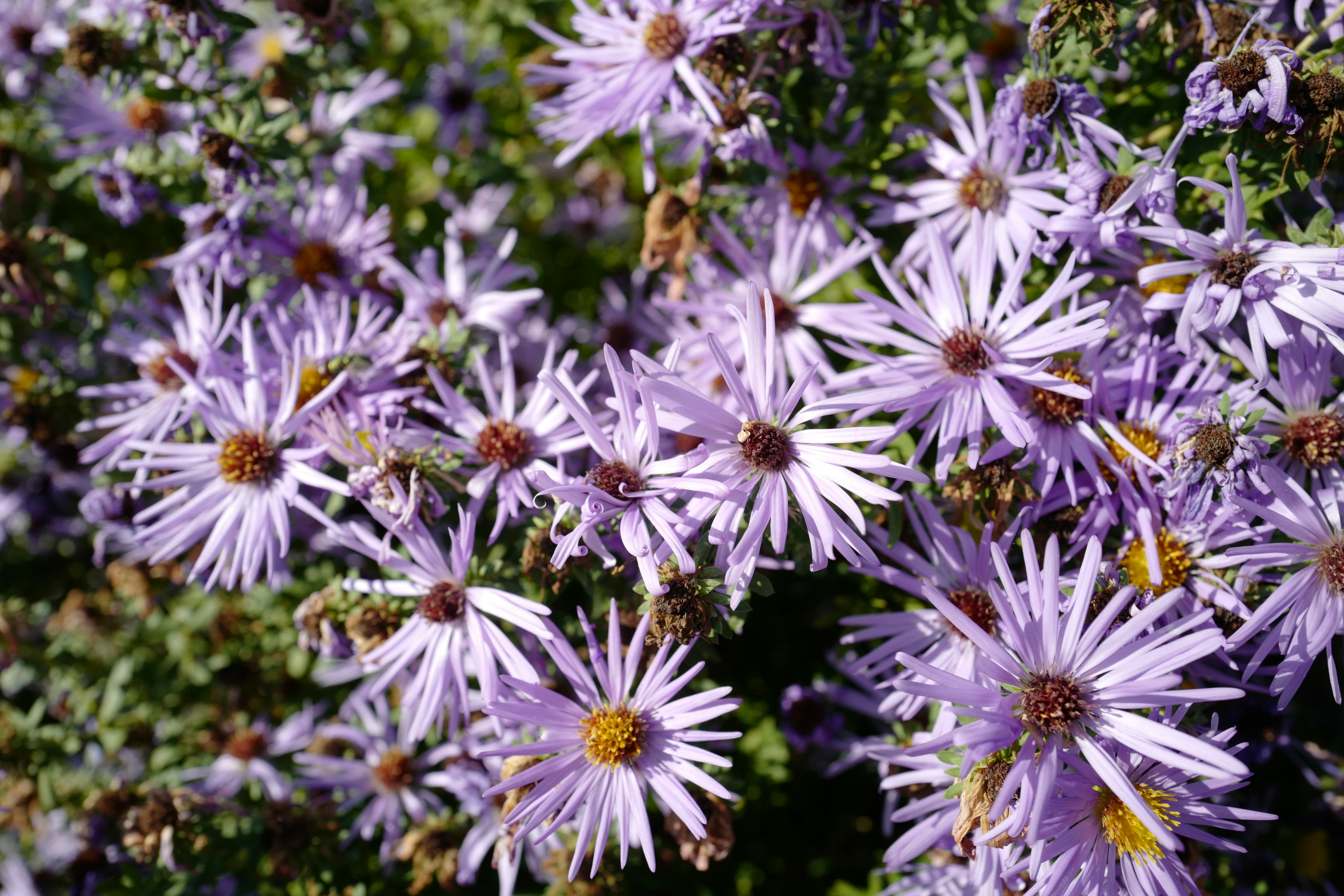 Photo by jenniferyung