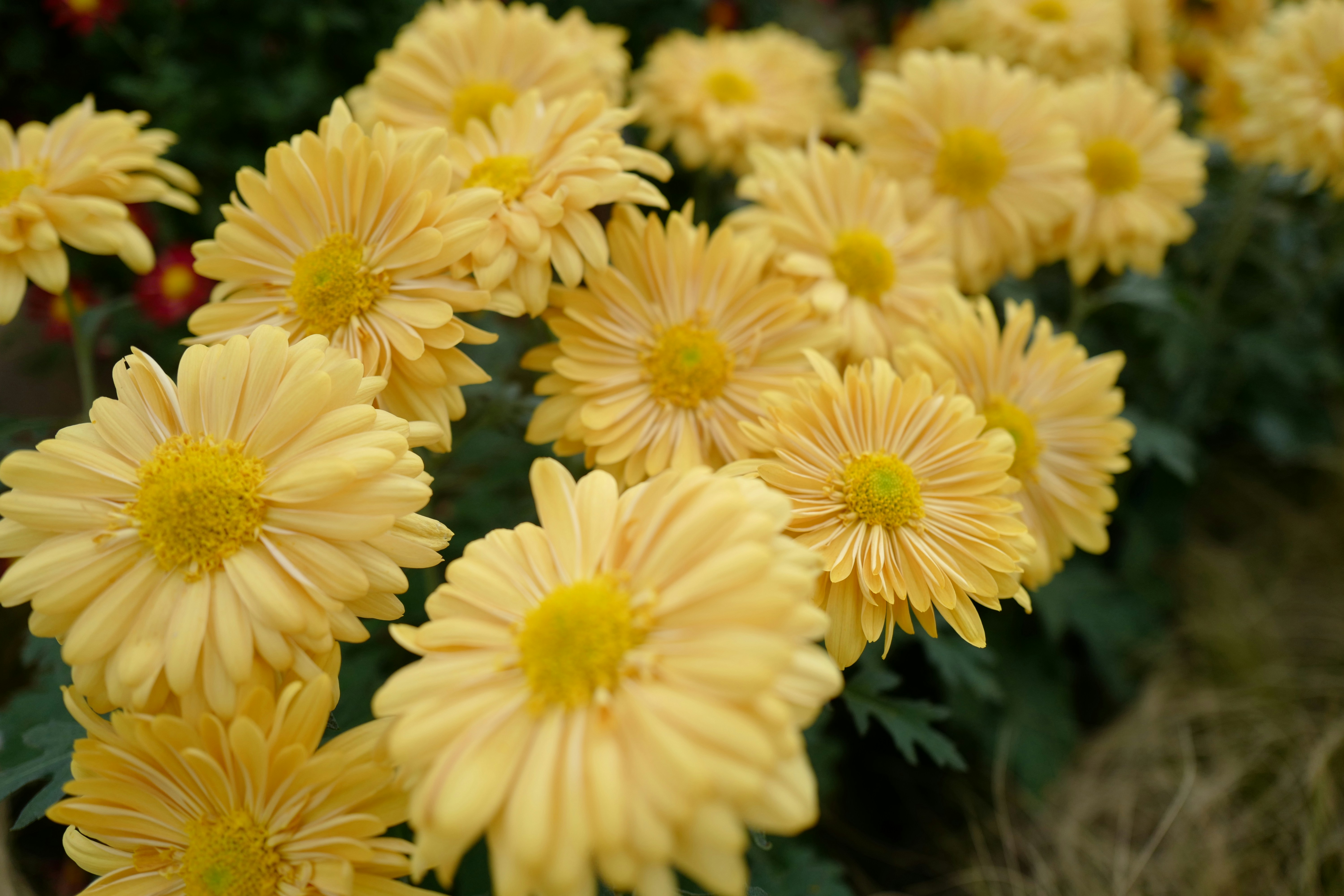 Photo by jenniferyung