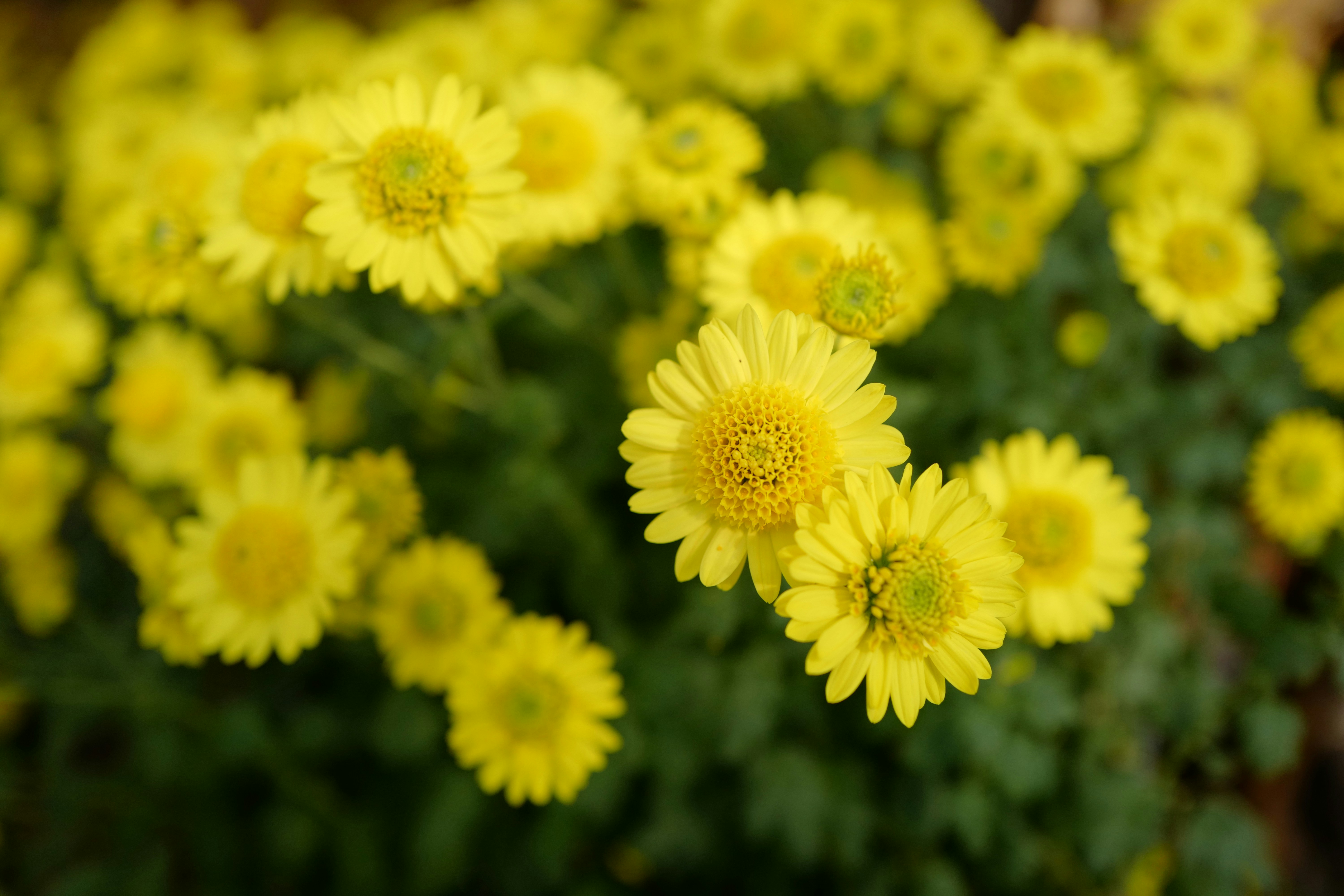 Photo by jenniferyung