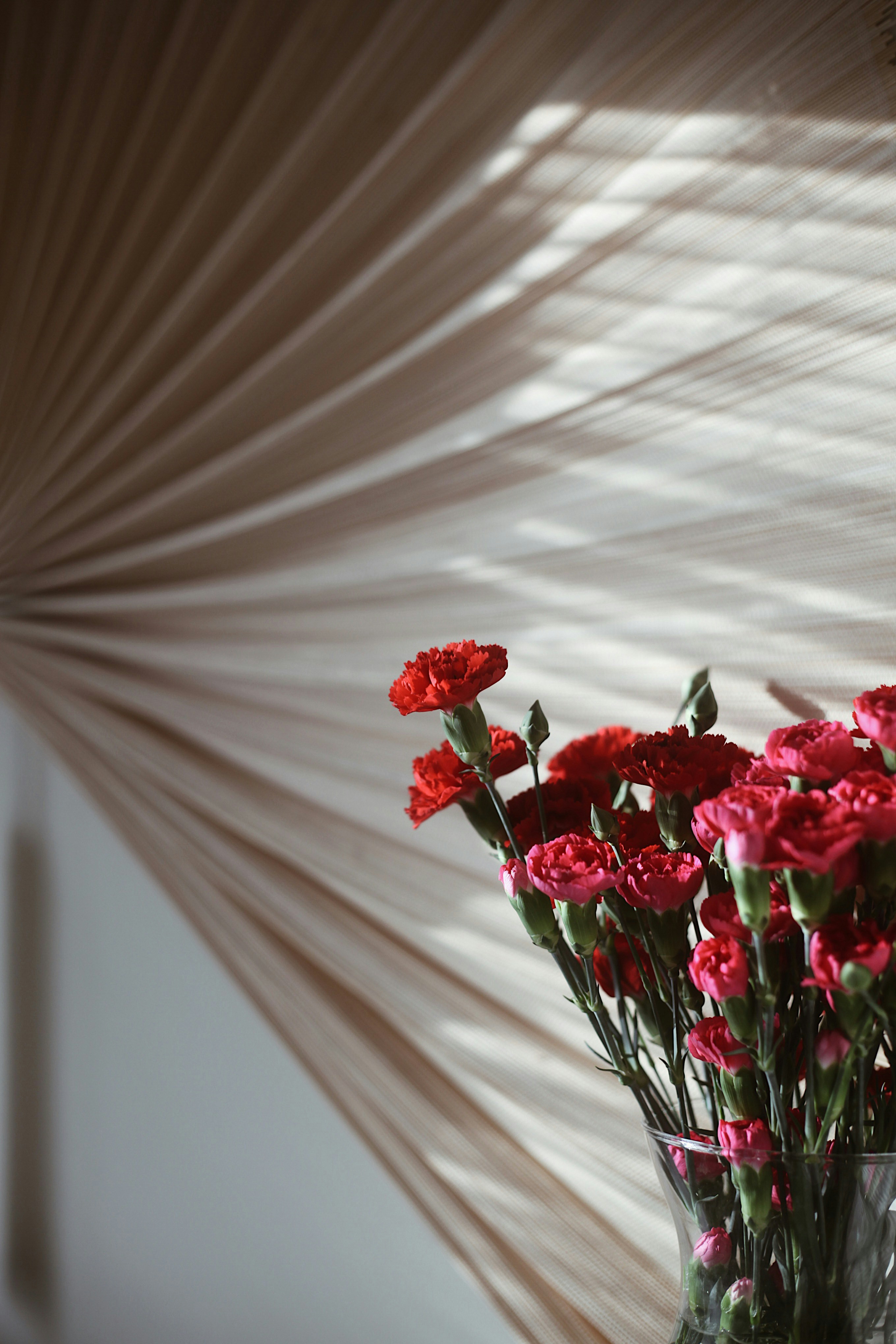 Photo by earthtokarly