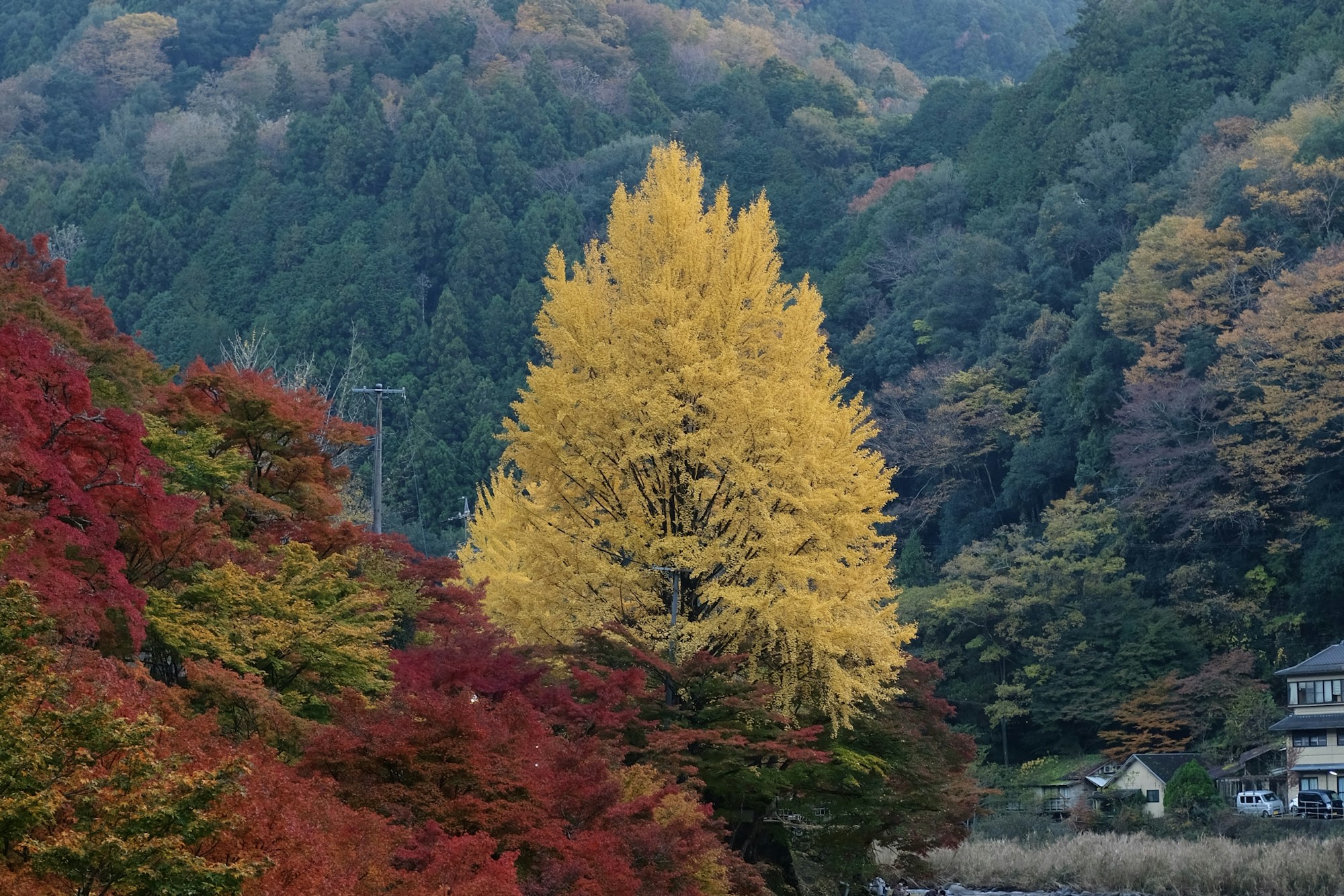What to see in Aichi: Travel Guide
