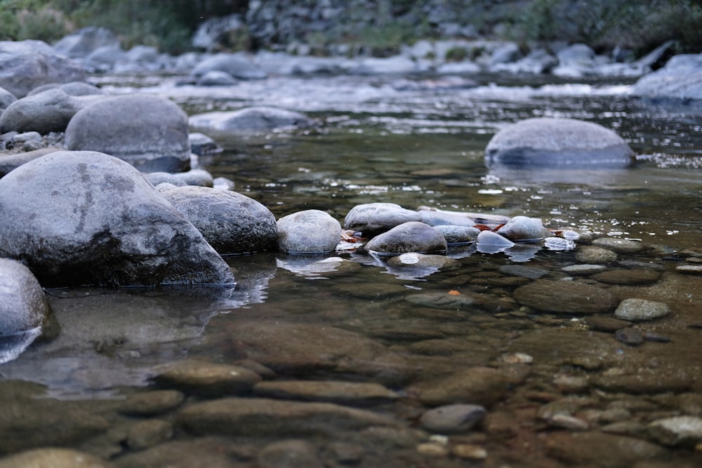 a river with rocks and water running through it