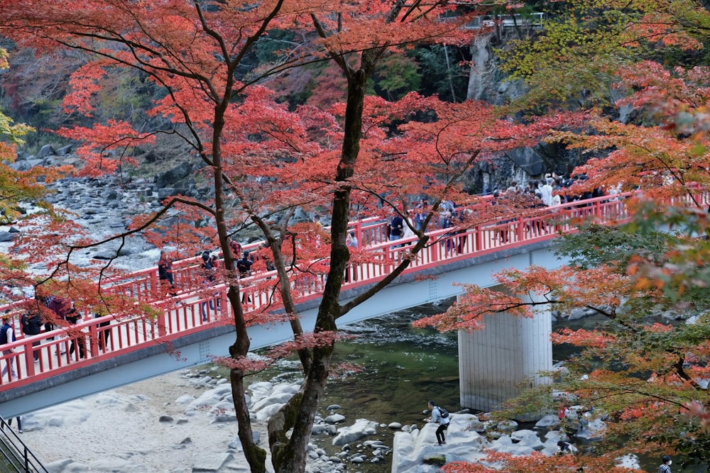 a group of people walking across a bridge over a river