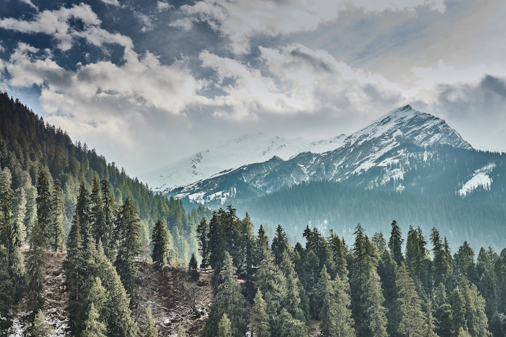 a mountain covered in snow and surrounded by trees