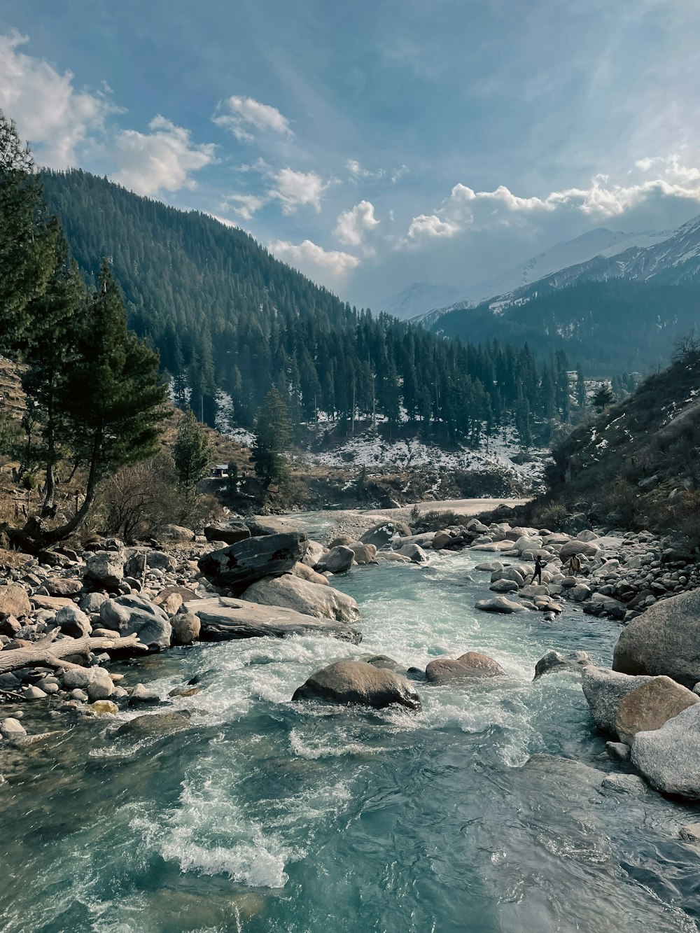 a river running through a lush green forest