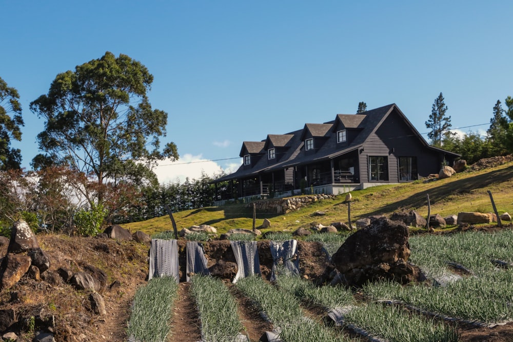 a house on a hill with a line of trees in front of it