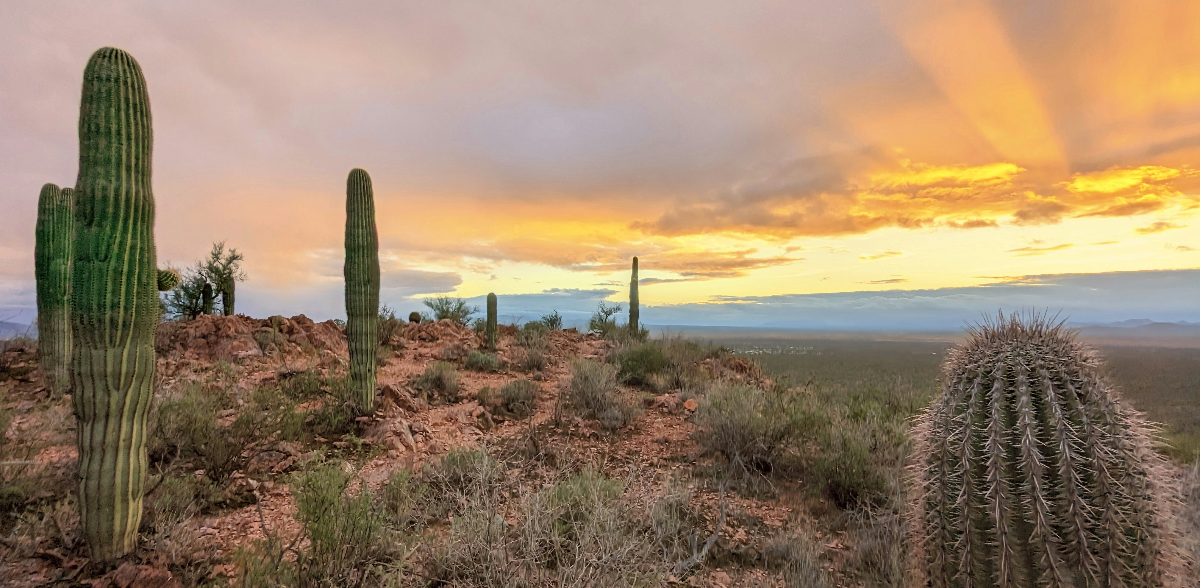 Carefree Arizona desert luxury home with rugged boulder landscape, saguaro cacti and dramatic sunset sky