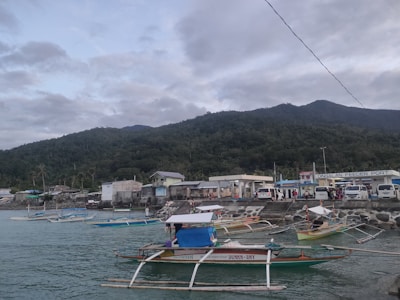 A small harbor with several traditional outrigger boats docked in the calm water. In the background, there are hills covered with dense greenery and a small village with houses and a port terminal labeled 'Dingalan Feeder Port'. Several white vans are parked near the terminal, and small groups of people are gathered around.