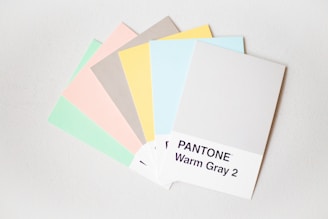 pantone warm gray swatches on a white background