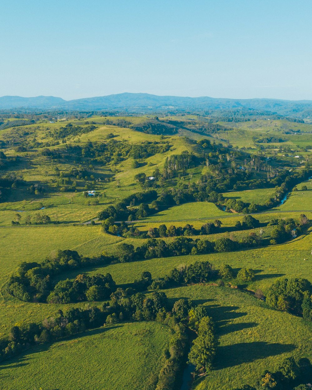 an aerial view of a lush green countryside