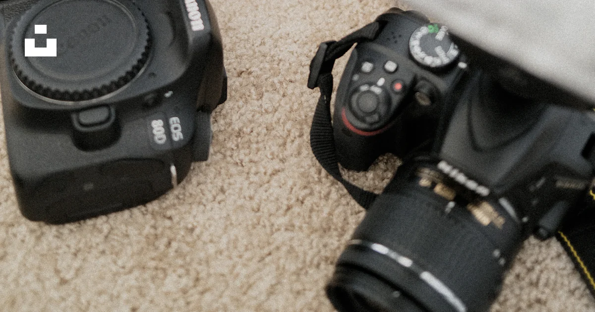 A bunch of cameras sitting on the ground photo – Free Cameras Image on ...