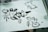 Ink drawings and calligraphy on paper featuring cartoon-like rabbits alongside traditional Chinese characters. The artwork appears hand-painted, displaying variations in brushstroke thickness and ink saturation.