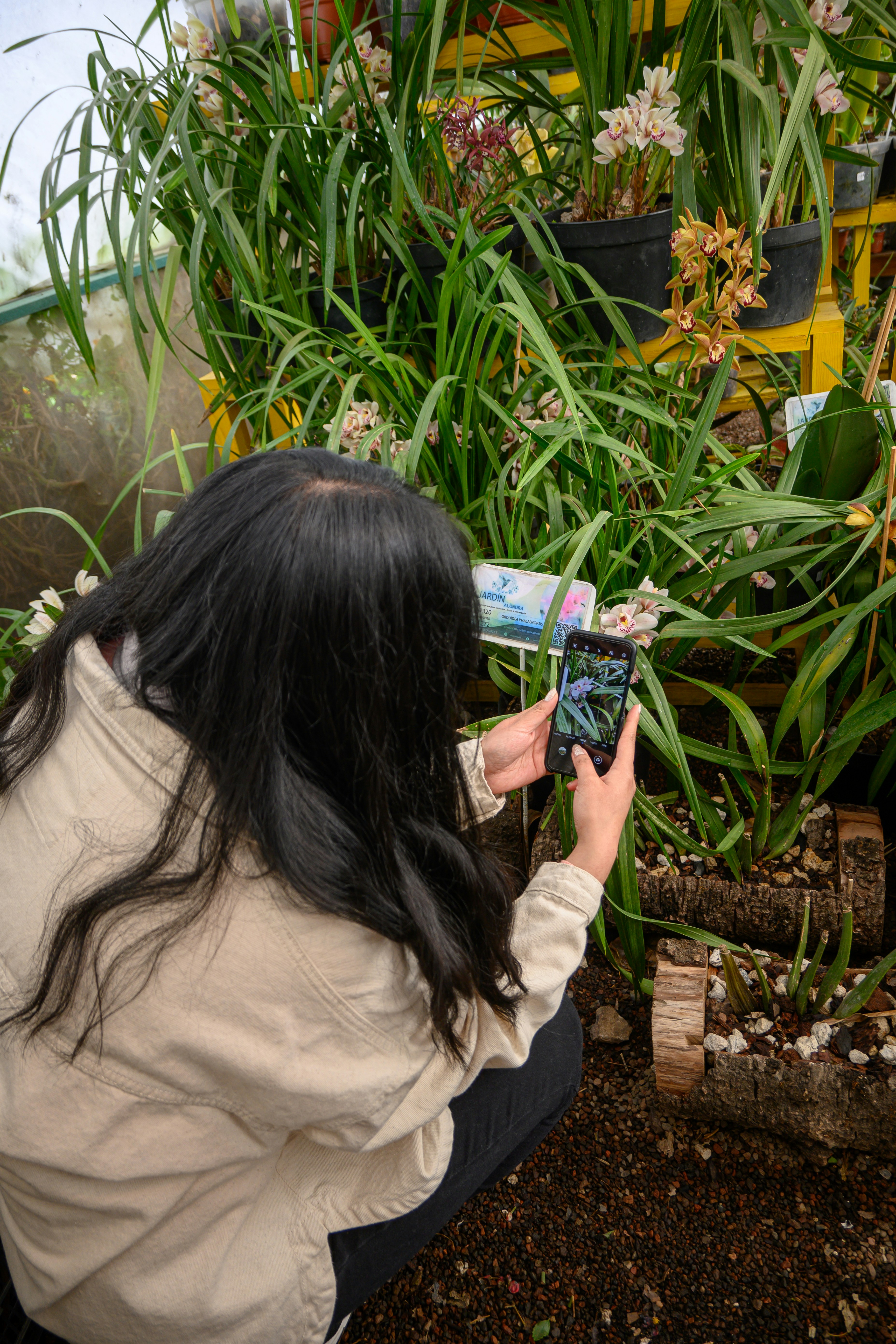 a woman taking a picture of plants in a greenhouse