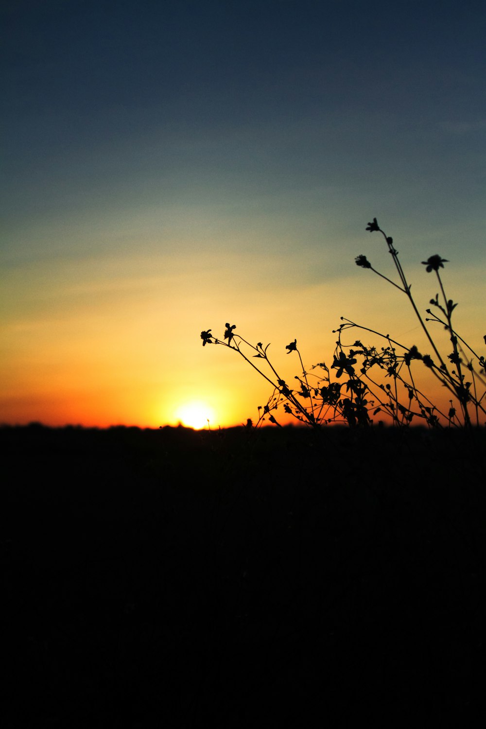 Die Sonne geht über dem Horizont eines Feldes unter