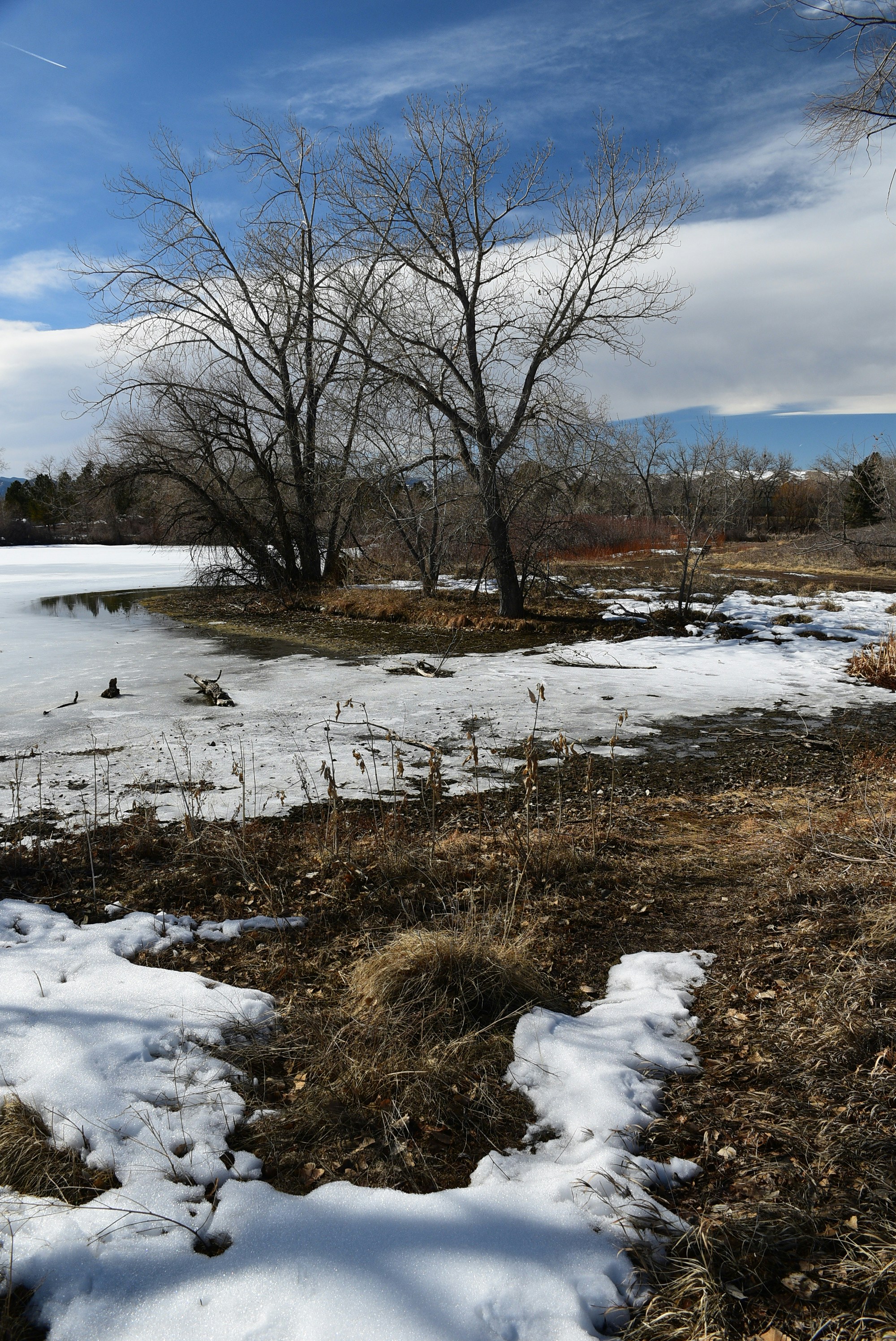 a snow covered field with trees in the background