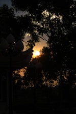 Sunset casting warm light over the hotel’s rustic exterior surrounded by pine trees.