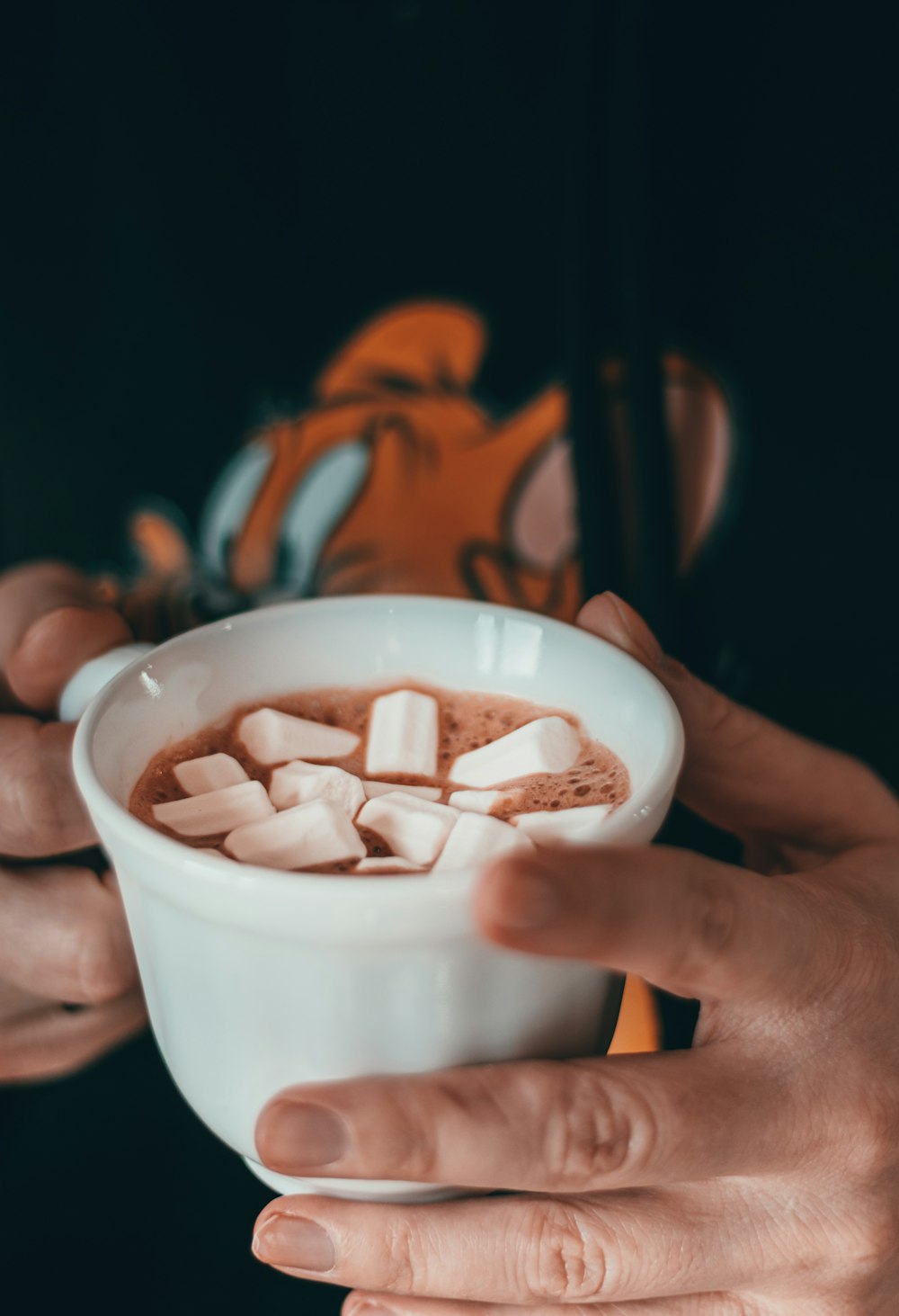 a person holding a bowl of hot chocolate with marshmallows