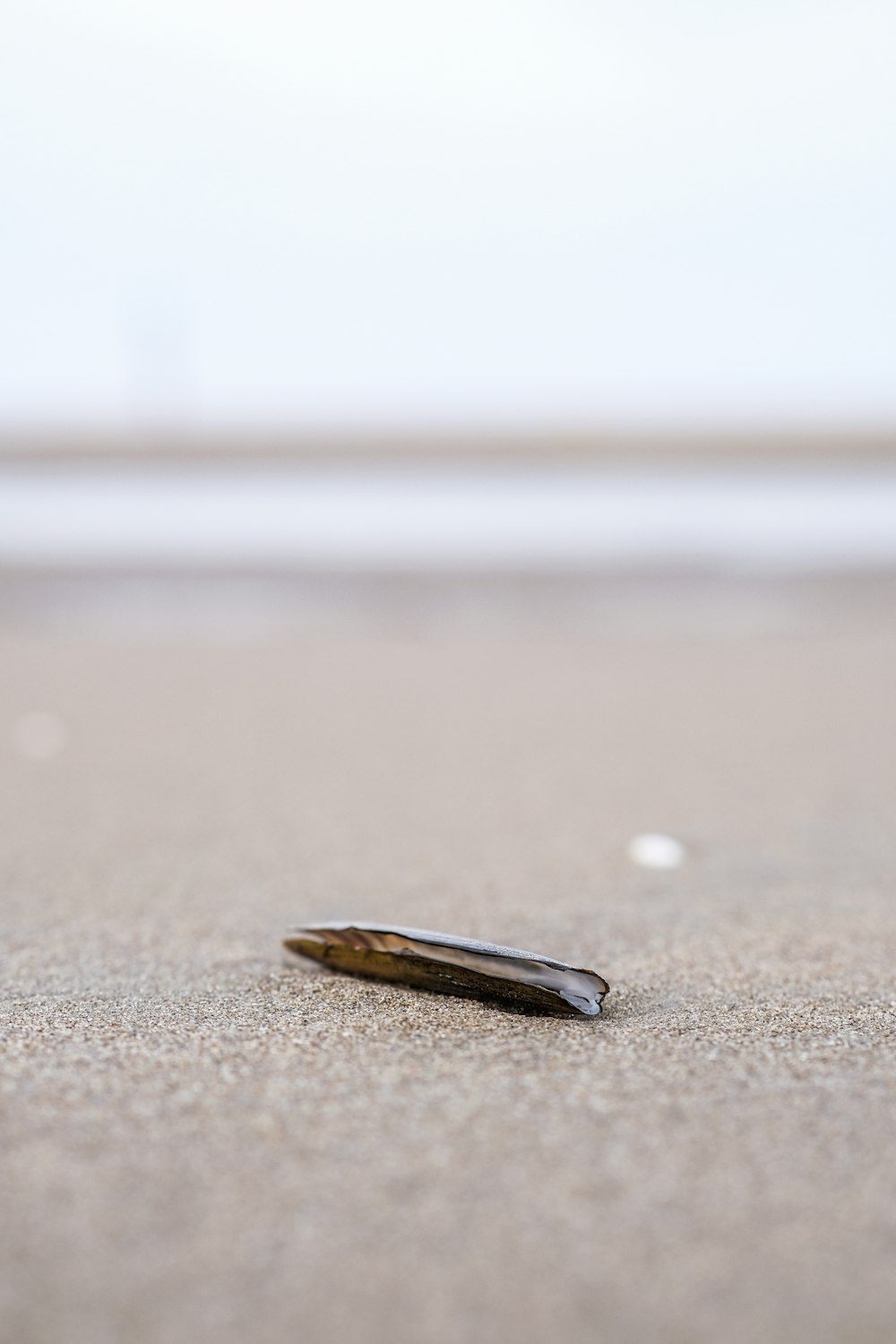 a piece of metal sitting on top of a sandy beach