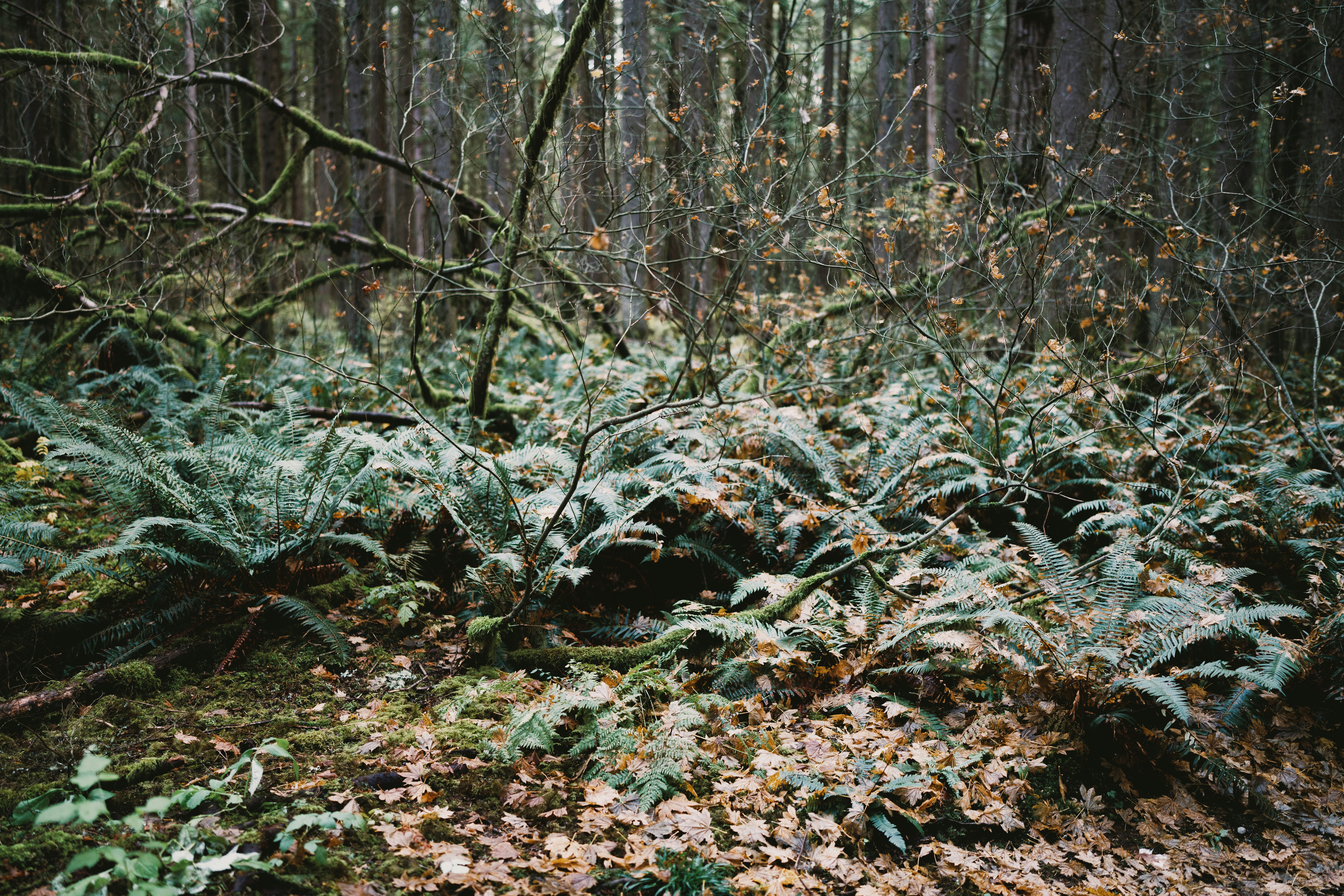 Photo by arianmontazeri