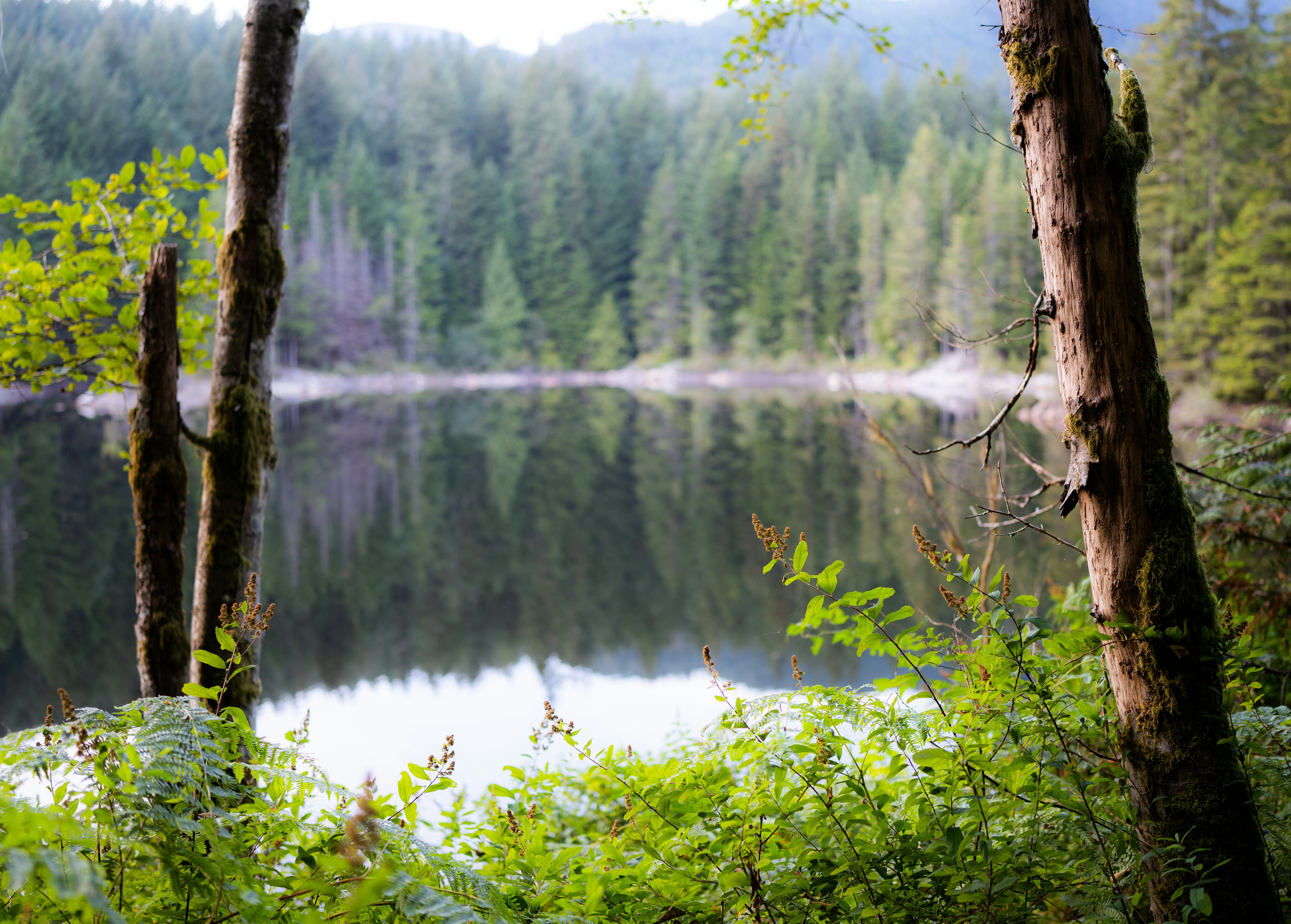 Photo by arianmontazeri