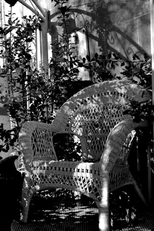 A wicker chair sits surrounded by plants and foliage. Shadows from the leaves and an ornate metal railing are cast on a nearby wall, creating a play of light and dark. The setting suggests a quaint and serene outdoor area, possibly a garden or patio.