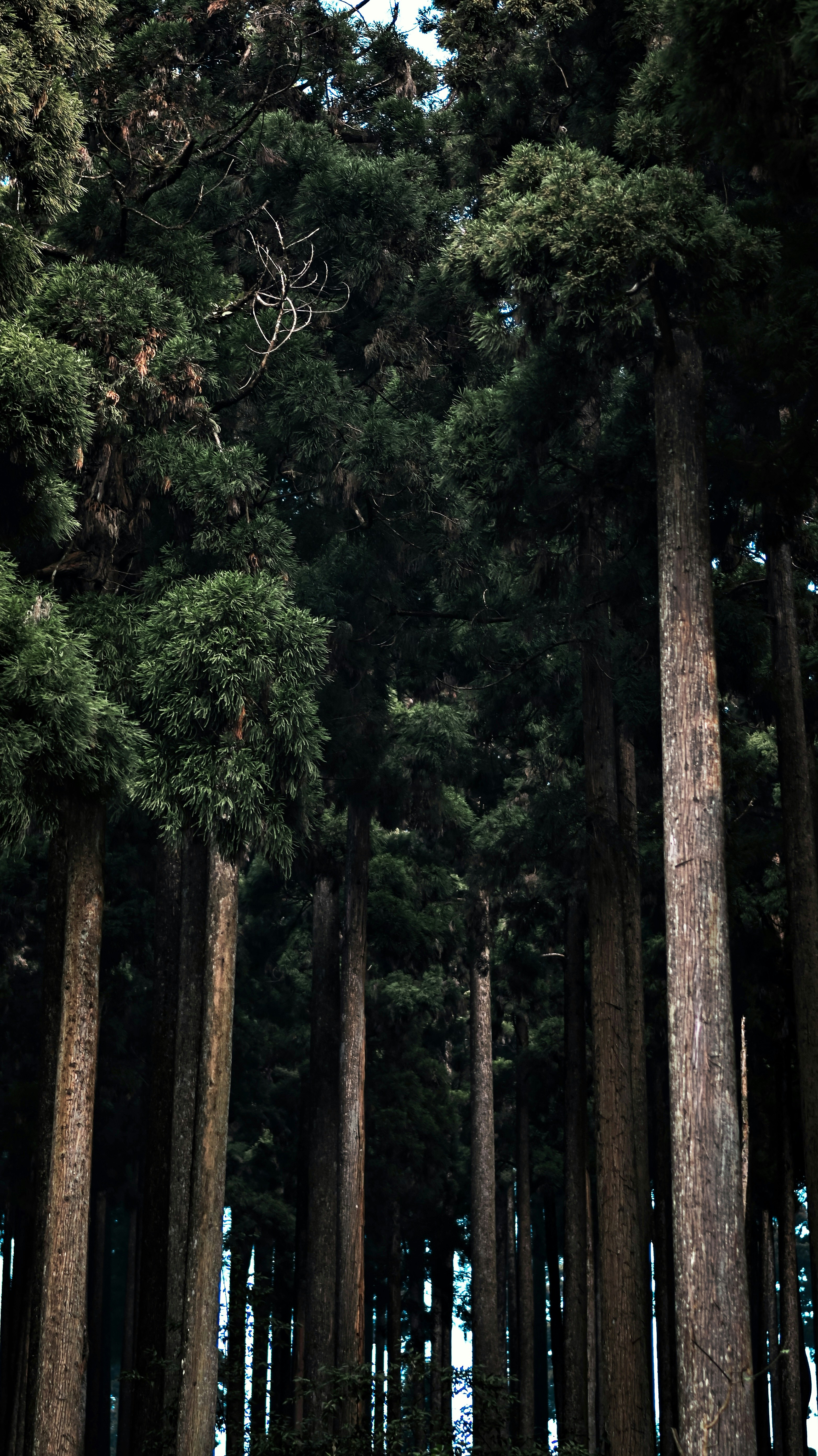 Photo by ddphotos01_