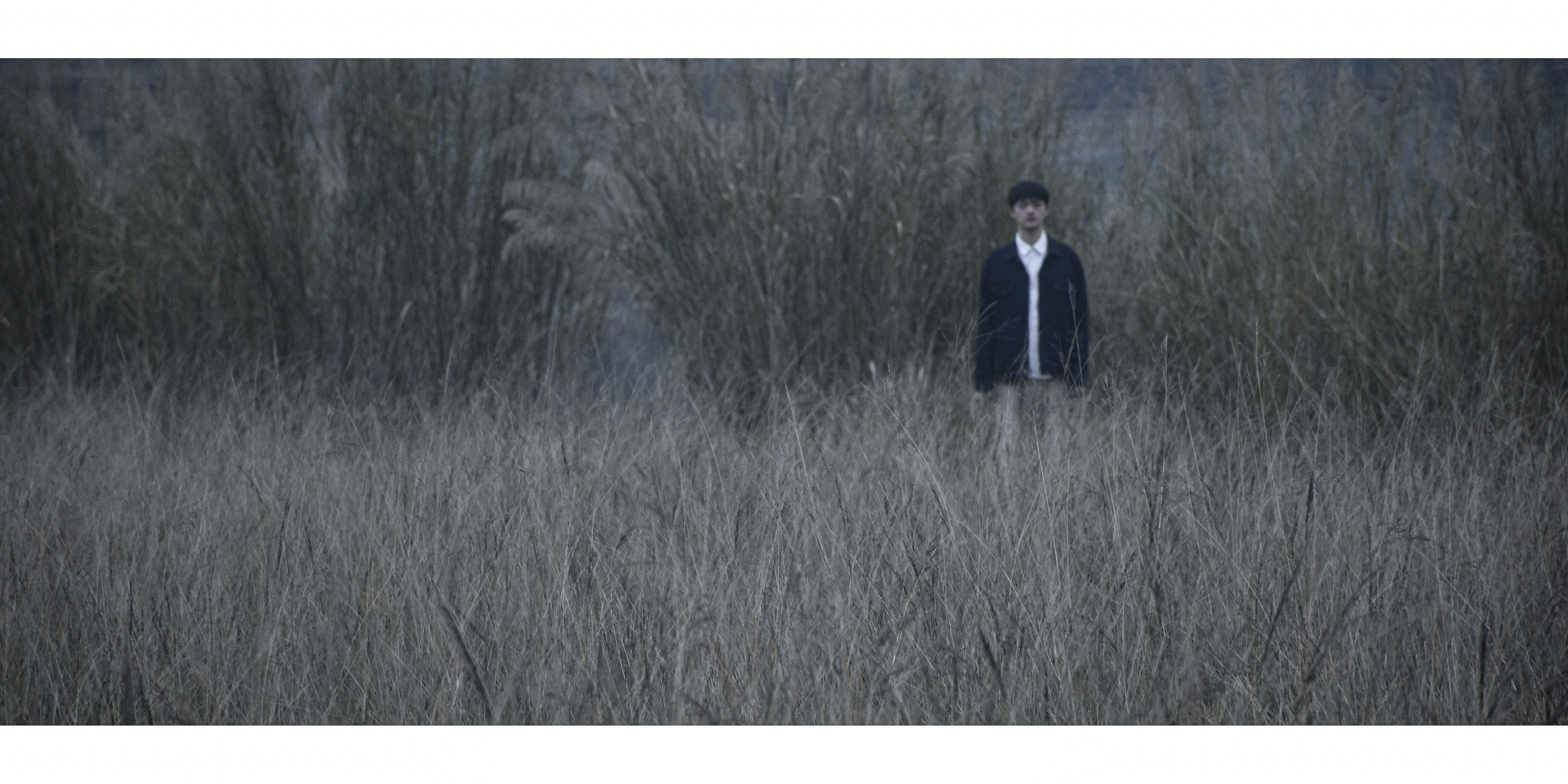 Photo by 3119592413wss